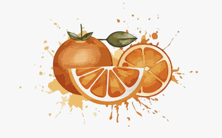 Orange fruit with splashes and drops. Hand drawn vector illustration.のイラスト素材