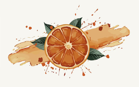 Orange fruit with leaves and splashes. Vector illustration of a slice of orange.のイラスト素材