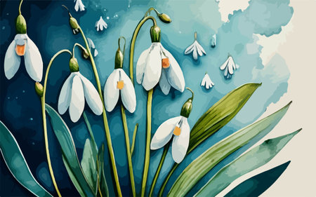 Beautiful snowdrop flowers on blue watercolor background. Vector illustration.のイラスト素材
