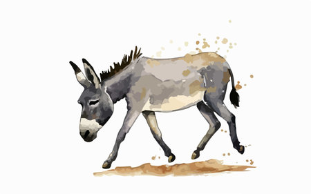 Donkey. Hand drawn watercolor illustration isolated on white background.のイラスト素材