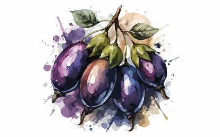 Watercolor illustration of purple plums. Hand drawn vector illustration.のイラスト素材