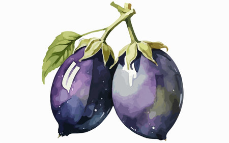 Illustration of two purple eggplants on a white background.のイラスト素材