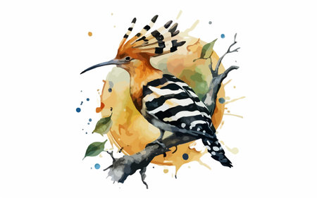 Eurasian Hoopoe bird. Watercolor hand drawn illustrationのイラスト素材