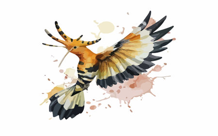Watercolor hand drawn illustration of an hoopoe bird. Vector illustration.のイラスト素材