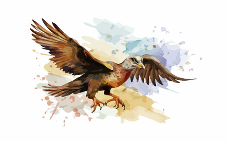 Eagle in flight. Watercolor vector illustration isolated on white backgroundのイラスト素材