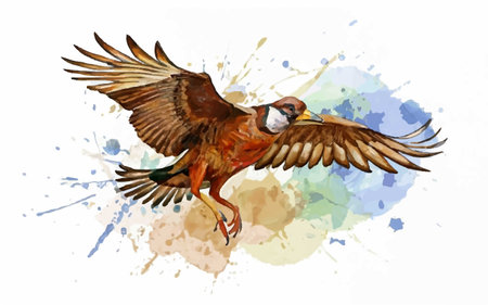 Flying bird on watercolor splashes background. Watercolor vector illustration.のイラスト素材