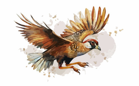 Sparrow in flight, watercolor illustration on a white backgroundのイラスト素材