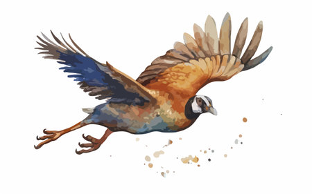Watercolor image of a bird in flight on a white background.のイラスト素材