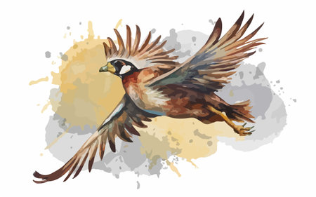 Illustration of a flying woodpecker on a watercolor backgroundのイラスト素材