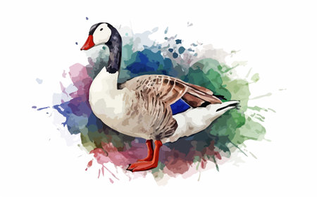 Watercolor illustration of a goose on a watercolor background. Vector image.のイラスト素材