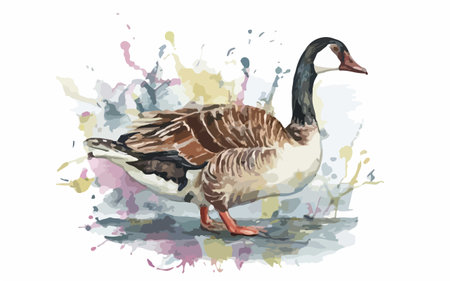 Watercolor illustration of a goose on a background of watercolor splashesのイラスト素材