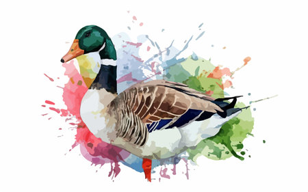 Watercolor duck on watercolor splashes background. Vector illustration.のイラスト素材