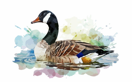 Watercolor illustration of a goose on a watercolor background. Vector image.のイラスト素材