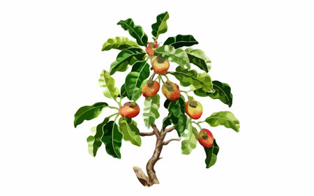 Illustration of a tree with fruits and leaves on a white backgroundのイラスト素材