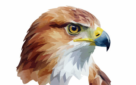 Eagle head. Vector illustration of a bird of prey on a white backgroundのイラスト素材