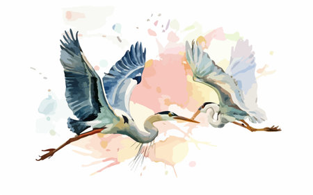 Two herons flying on a watercolor background. Vector illustration.のイラスト素材