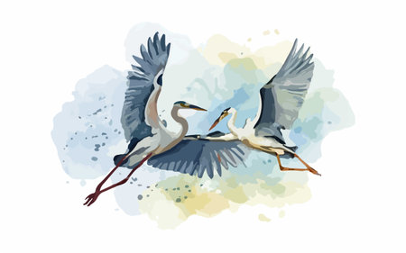 Two herons flying in the sky. Watercolor vector illustration.のイラスト素材