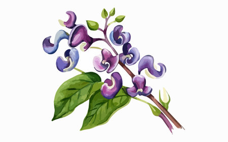 Illustration of a branch with purple flowers on a white background.のイラスト素材