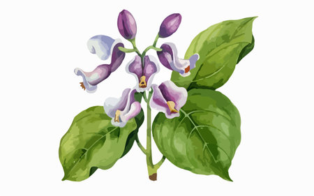Illustration of a branch with purple flowers on a white background.のイラスト素材