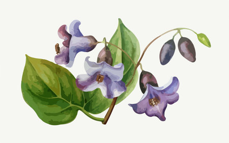 Beautiful hand drawn watercolor illustration of blue and purple flowers.のイラスト素材