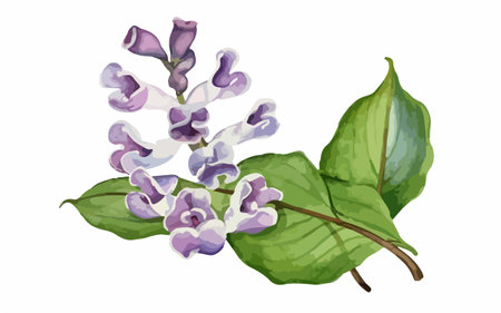 Illustration of purple flowers and green leaves on a white background.のイラスト素材
