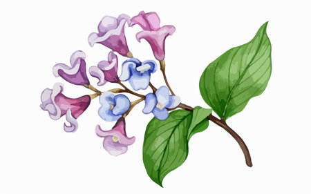 Lilac branch with flowers and leaves. Watercolor illustration.のイラスト素材