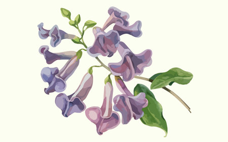 Illustration of a bunch of lilac flowers on a white backgroundのイラスト素材