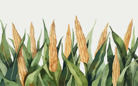 Corn background. Hand drawn vector illustration. Can be used for invitations, greeting cards, scrapbooking.のイラスト素材