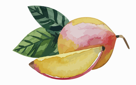 Mango fruit with green leaves on a white background. Vector illustration.のイラスト素材