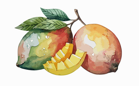 Watercolor illustration of mangoes on a white background. Vector illustration.のイラスト素材