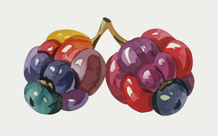 Illustration of a bunch of black and red grapes on a white backgroundのイラスト素材