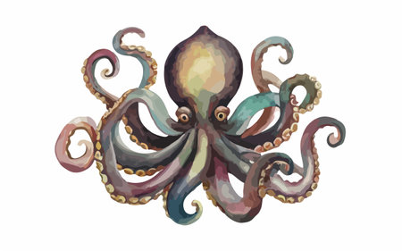 Watercolor octopus isolated on white background. Hand drawn illustration.のイラスト素材