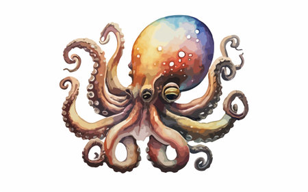 Octopus. Hand drawn watercolor illustration isolated on white background.のイラスト素材
