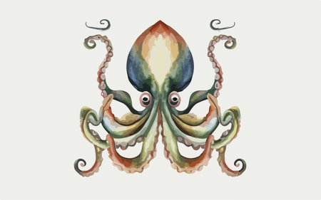 Octopus. Hand drawn watercolor illustration isolated on white background.のイラスト素材