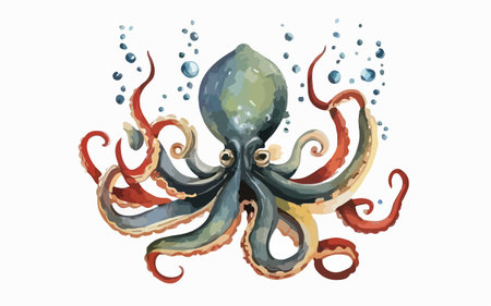 Watercolor octopus. Hand drawn illustration. Isolated on white background.のイラスト素材