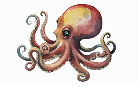 Octopus. Isolated on a white background. Vector illustration.のイラスト素材