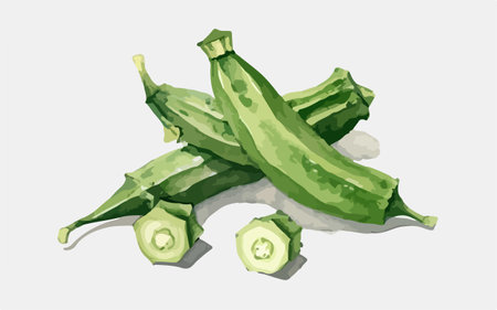 Illustration of fresh okra in cartoon style. Vector illustration.のイラスト素材