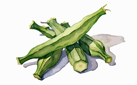 Illustration of a group of fresh okra on a white backgroundのイラスト素材