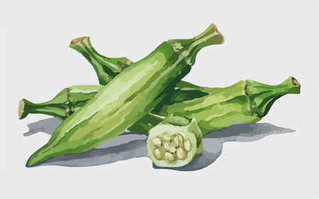 Illustration of green jalapeno peppers on a white backgroundのイラスト素材