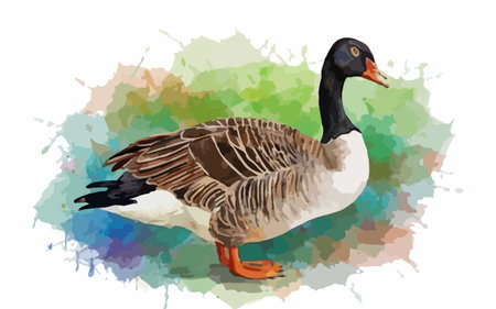 Illustration of a goose on the watercolor background. Vector illustrationのイラスト素材