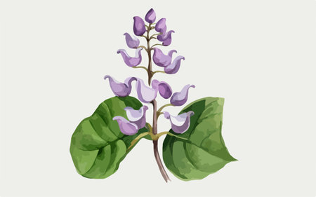 Illustration of a branch of lilac with leaves on a white backgroundのイラスト素材