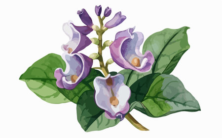 Illustration of a branch with purple flowers on a white background.のイラスト素材