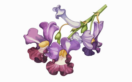 Illustration of a bunch of purple flowers on a white background.のイラスト素材