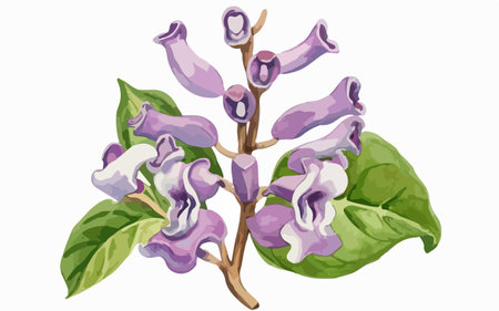 Illustration of a lilac branch with flowers on a white backgroundのイラスト素材