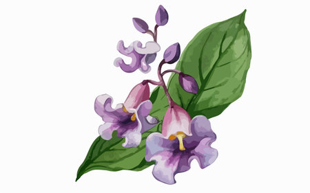 Illustration of a purple flower with green leaves on a white backgroundのイラスト素材