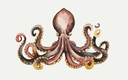 Octopus. Hand drawn watercolor illustration. Isolated on white background.のイラスト素材