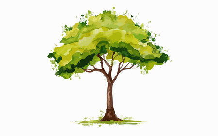 Green tree isolated on white background. Hand drawn vector illustration in watercolor style.のイラスト素材