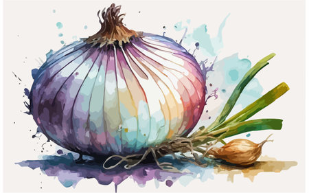 Illustration of fresh onion with watercolor splashes on white backgroundのイラスト素材