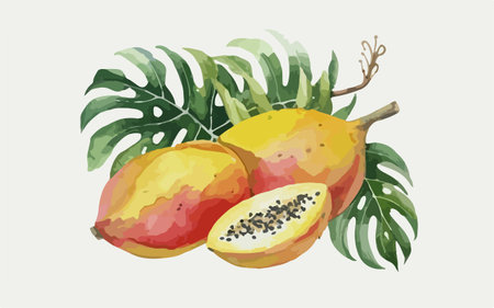 Hand drawn watercolor illustration of tropical fruits: papaya, dragon fruit and palm leaves.のイラスト素材