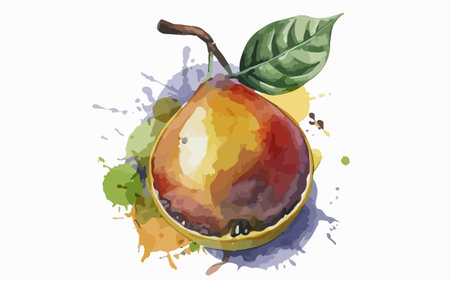 Illustration of a whole ripe pear with watercolor splashes.のイラスト素材